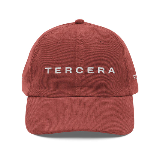 Vintage corduroy cap